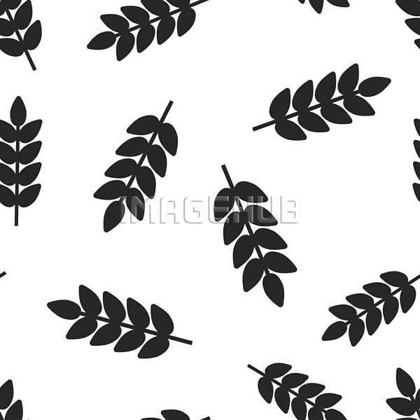 이미지 미리보기