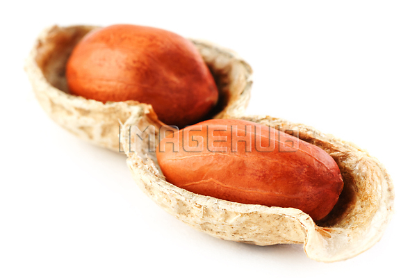 이미지 미리보기