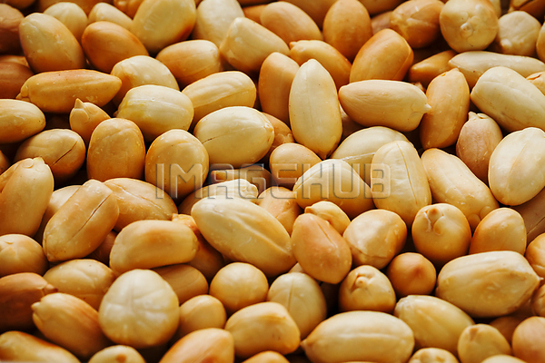 이미지 미리보기