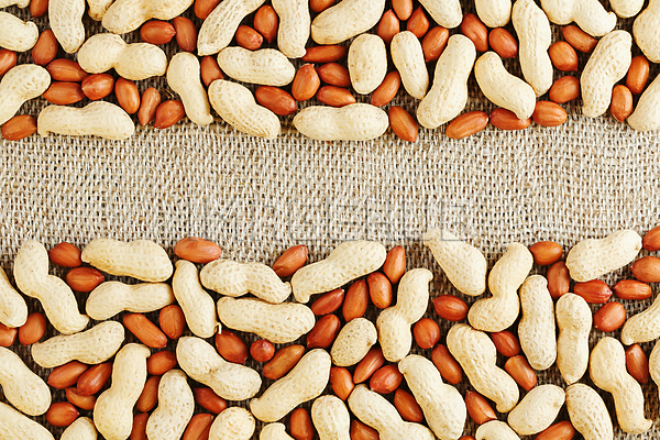 이미지 미리보기