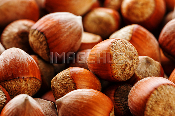 이미지 미리보기