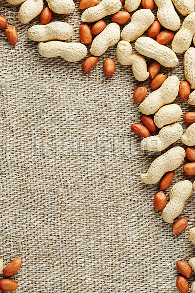 이미지 미리보기