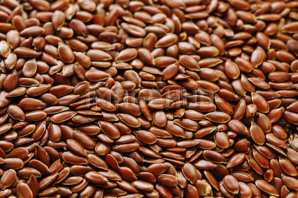 이미지 미리보기