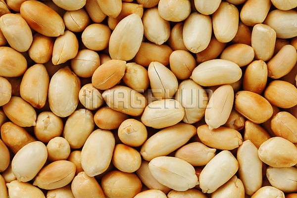 이미지 미리보기