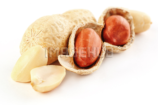 이미지 미리보기