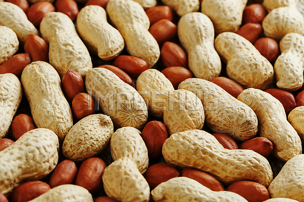 이미지 미리보기