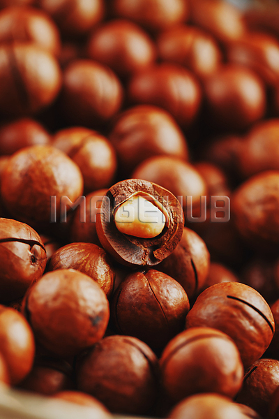 이미지 미리보기