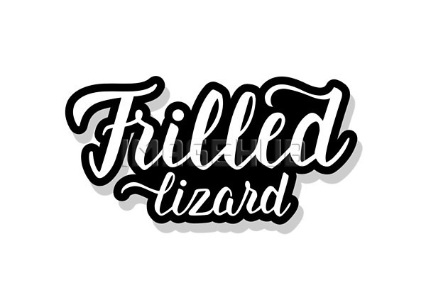 이미지 미리보기