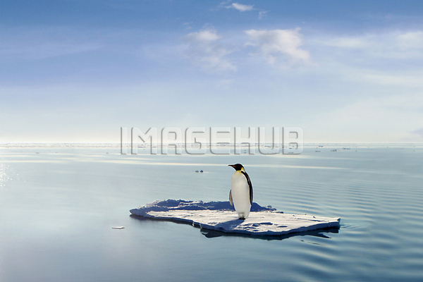 이미지 미리보기