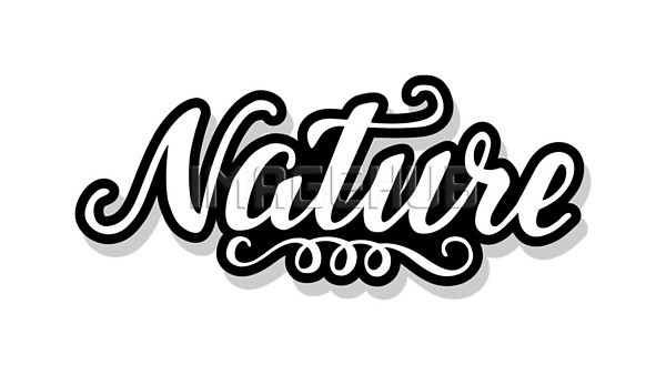 이미지 미리보기