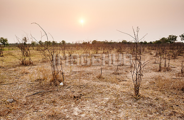 이미지 미리보기