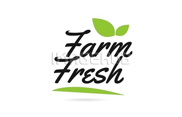 이미지 미리보기