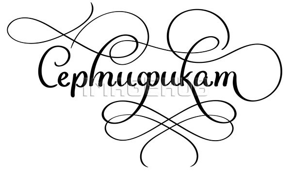 이미지 미리보기