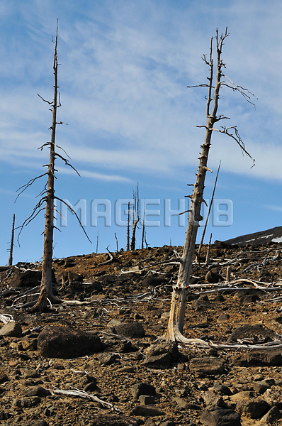 이미지 미리보기