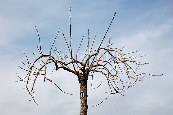 이미지 미리보기