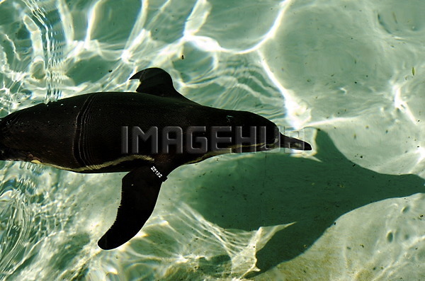 이미지 미리보기