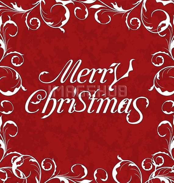 이미지 미리보기