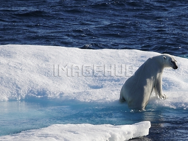 이미지 미리보기