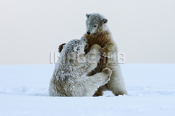 이미지 미리보기