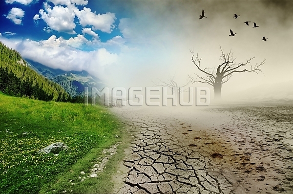 이미지 미리보기