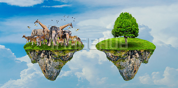 이미지 미리보기