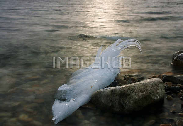 이미지 미리보기