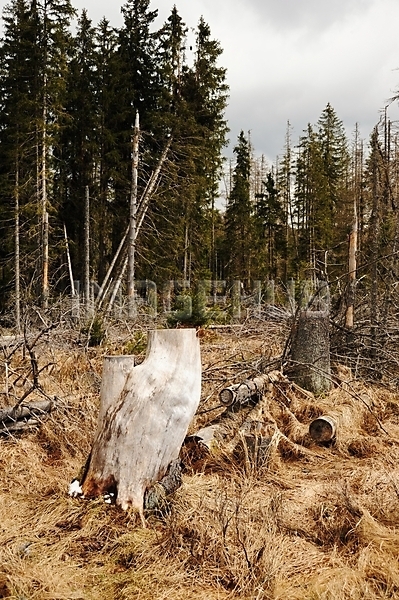이미지 미리보기