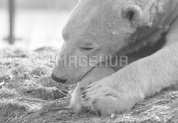 이미지 미리보기