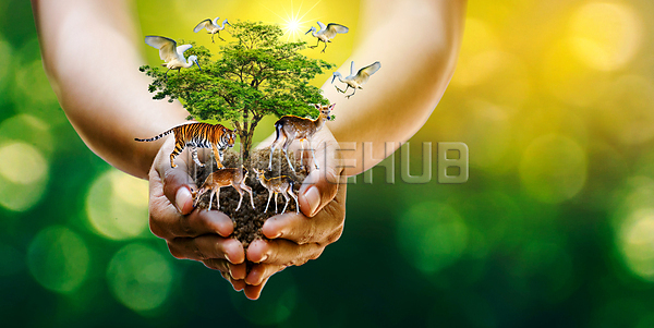 이미지 미리보기