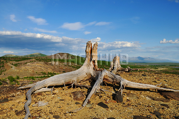 이미지 미리보기