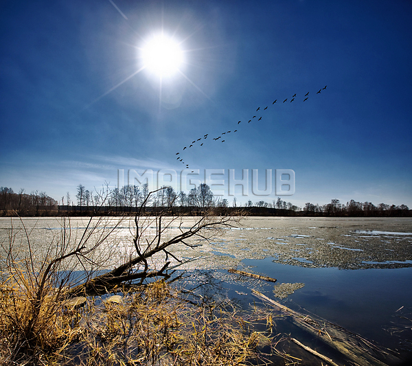 이미지 미리보기
