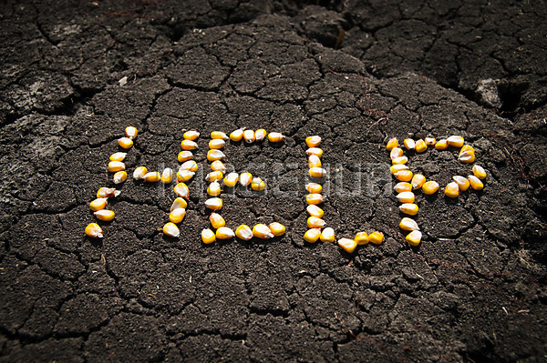 이미지 미리보기