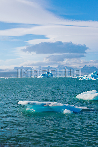 이미지 미리보기