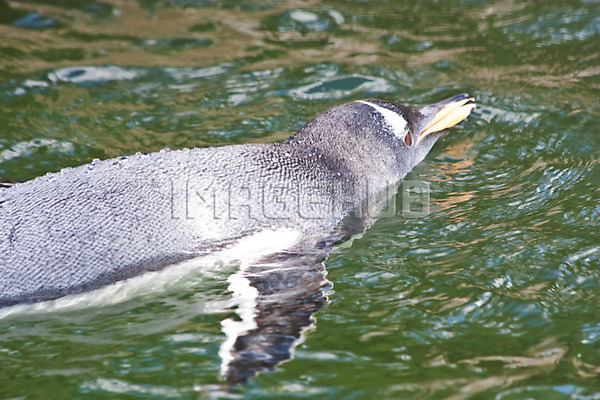이미지 미리보기