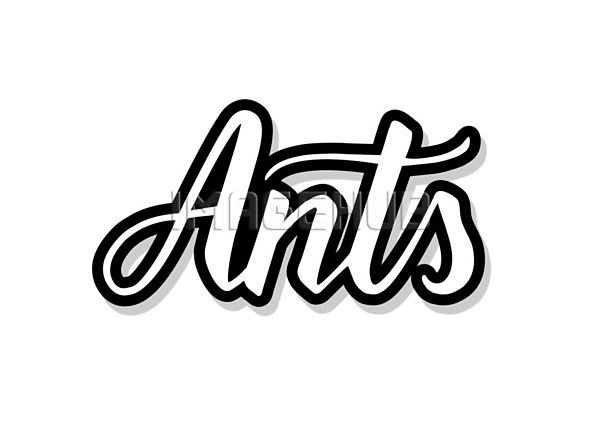 이미지 미리보기