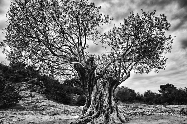 이미지 미리보기