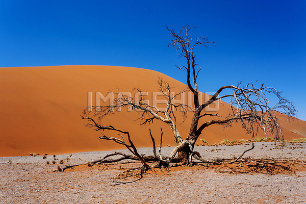 이미지 미리보기