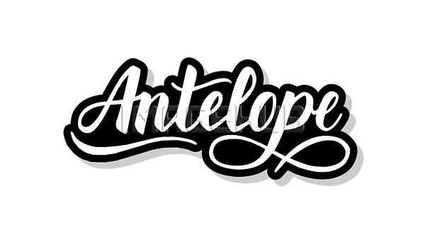 이미지 미리보기