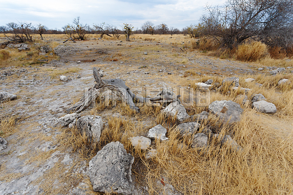 이미지 미리보기