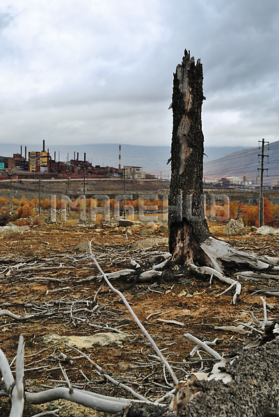 이미지 미리보기