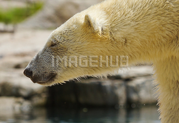 이미지 미리보기