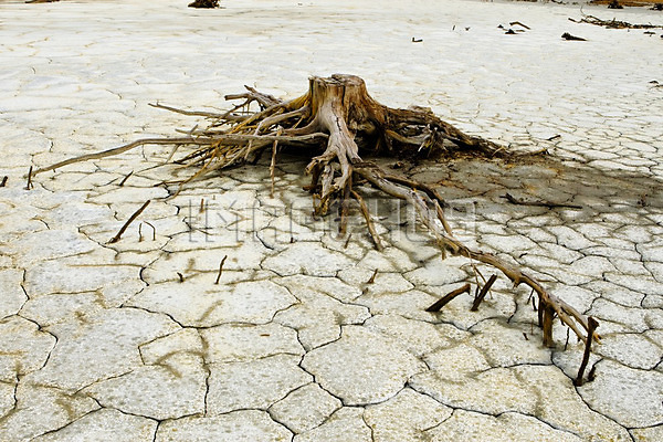 이미지 미리보기