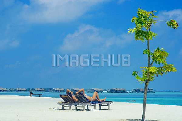 이미지 미리보기