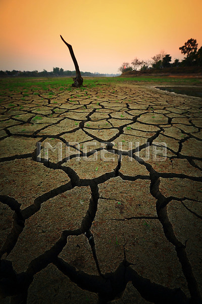 이미지 미리보기
