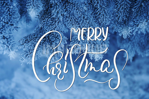 이미지 미리보기