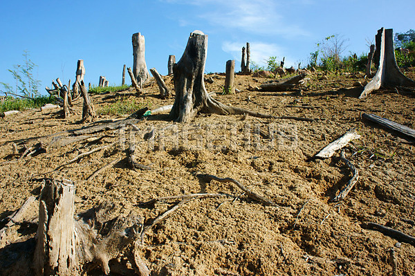 이미지 미리보기