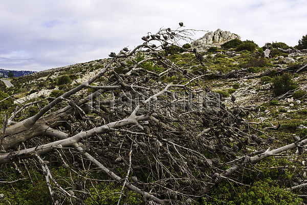 이미지 미리보기