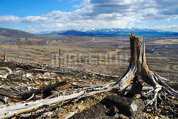 이미지 미리보기