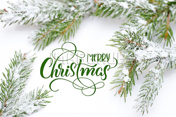 이미지 미리보기