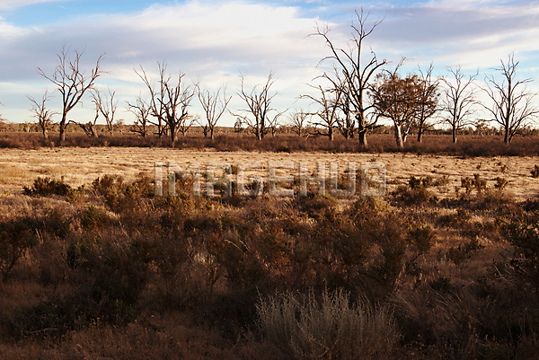 이미지 미리보기